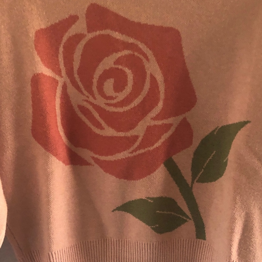 No Boundaries Rose Design Sweater - Pink and Green.  Size Medium. - Picture 3 of 5